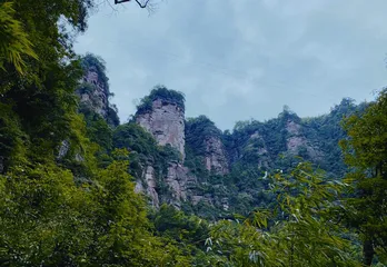 赤水桫椤自然保护区:自然之地,教育科普主平台5