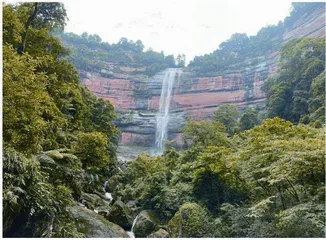 赤水桫椤自然保护区:自然之地,教育科普主平台6