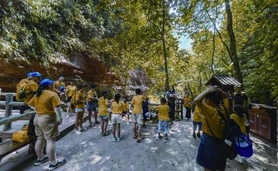 赤水桫椤自然保护区:自然之地,教育科普主平台7
