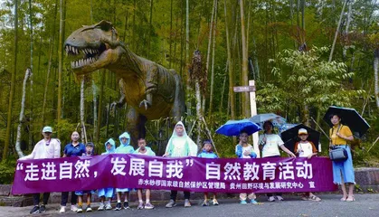 赤水桫椤自然保护区:自然之地,教育科普主平台8
