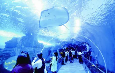 多彩贵州极地海洋世界:媒体融合多渠道弘扬海洋文化1
