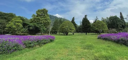贵州省植物园：打造市民亲近植物多样性的殿堂