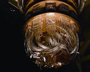 这些科学实验,一个更比一个怪5