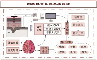 超越想象的力量:脑机接口创造未来2