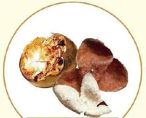 甲流感染期食养建议(发热、咳嗽篇)7