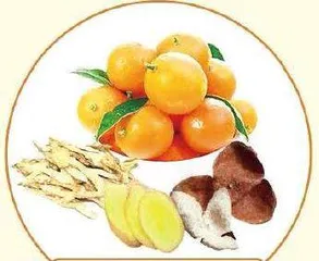 甲流感染期食养建议(发热、咳嗽篇)9