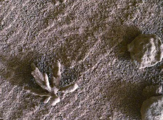 惊!北极海底竟然还有深坑,而且还在扩大加深……2