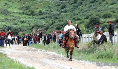 安闲桥的“炫富”大爷