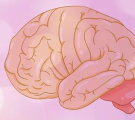 “头”等大事 一点也轻视不得1