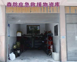 安全“绿网”如何“织”东风林场有高招5