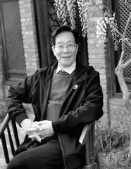 河南散文二十家之田中禾专辑