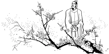 未知梅