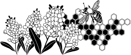 蜂 王