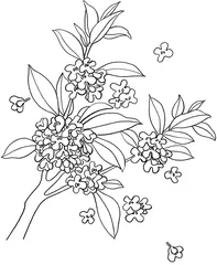 花谱三题