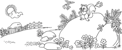 曾陪曾伴花栗鼠