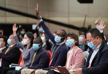国际舆论视域下的中共二十大1