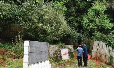 建阳水仙白茶，幽幽的甜花香
