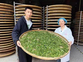 建阳水仙白茶,幽幽的甜花香1