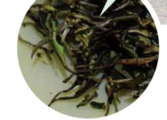 建阳水仙白茶,幽幽的甜花香2