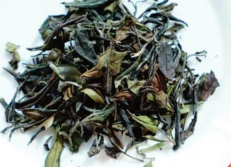 建阳白茶,天下独一味2