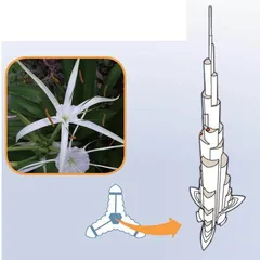 哈利法塔:向世界展现的决心2