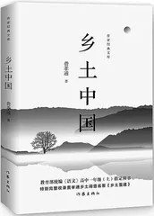历史逻辑、题材风格及“缝隙体验”：关于“新乡土叙事”