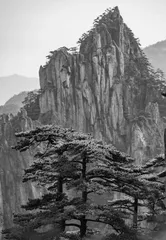 说“一小步”