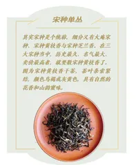 凤凰单丛宋种,茶界的"高香贵族"2