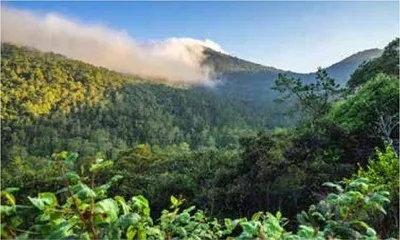 池塘山庄:超现实主义的梦境1
