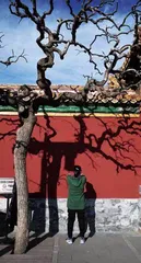 没有光,摄影便是一场徒然2