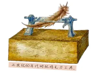 那些年,我们与茨林围共同成长2