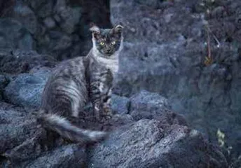 埃特纳火山:西西里的“恐怖传说”3