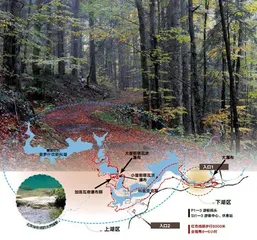 普利特维采湖群国家公园:“小建筑师”与大奇迹2