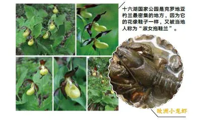 普利特维采湖群国家公园:“小建筑师”与大奇迹7