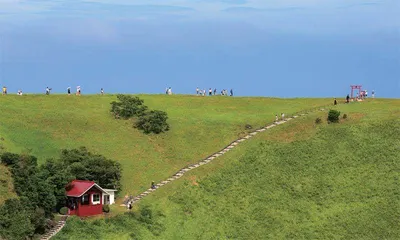 伊豆：半岛上的枯荣