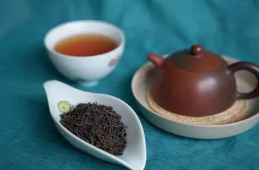 六堡茶,可以喝的“古董”2