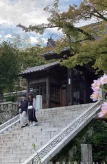 修善寺,寻找属于自己的“舞女”3