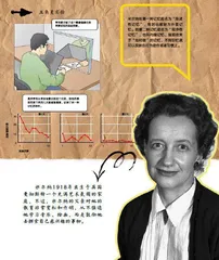 “五角星实验”:揭示程序性记忆的真相2