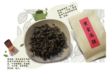 黄金桂, 重识闽南『透天香』1