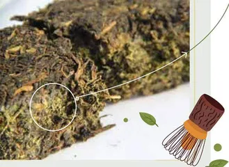 湖南茯砖茶,岁月沉淀的茶中臻品3