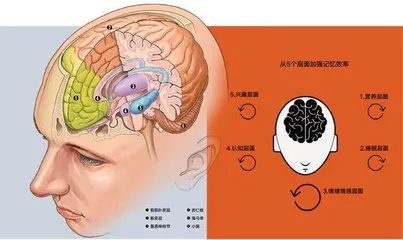 如何提高记忆力1