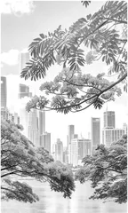 又见凤凰花 