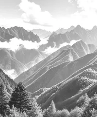 游秦岭 