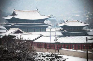 请回答,韩国20221