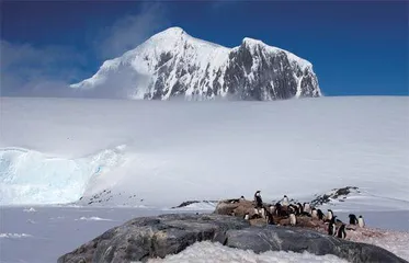 南极半岛初体验4