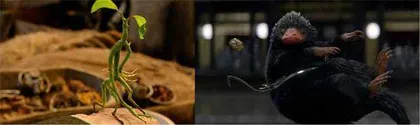 帕罗与阳朔:神奇动物打开的盲盒2