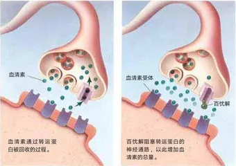大脑与时代的“错配”2