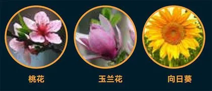 花粉2