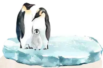 在南极,日子可以这样过4