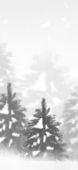 雪（外一首）